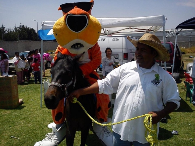 chester chetos a caballo